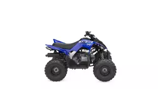 Yamaha YFM110R
