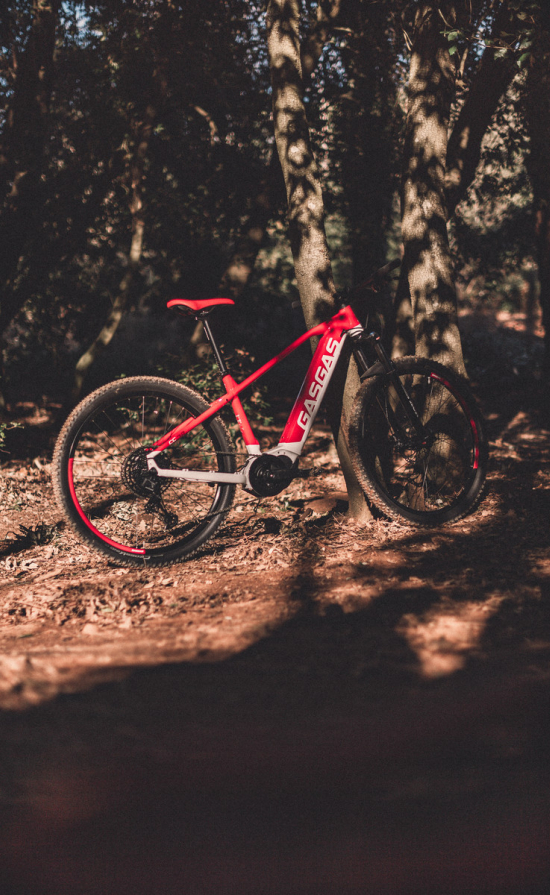 GASGAS E-mountainbike